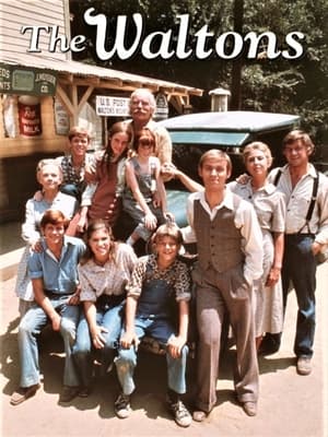 Watch Series The Waltons (1972) - Season 6 Episode 18 on 123Chill Free ...